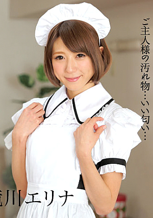 愛しきご主人様と給仕の私