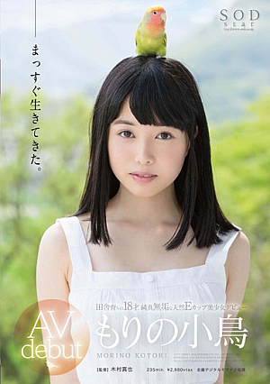 [Reducing Mosaic] もりの小鳥 AV debut